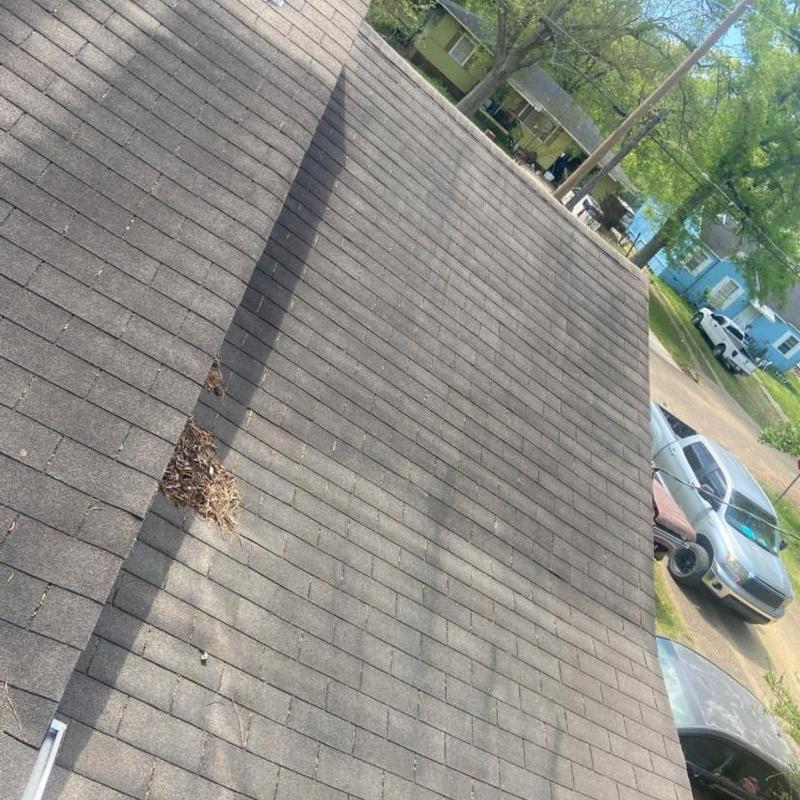 Conducted a detailed roof damage inspection assessing wear and identifying repair needs in Florence, MS