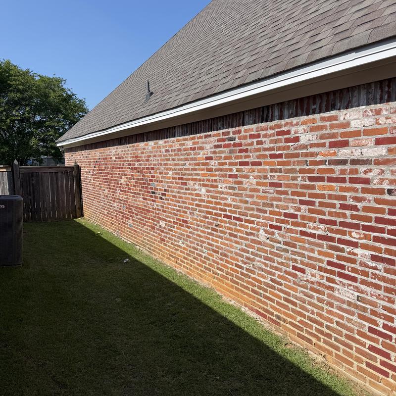 Painting Services in Madison, MS