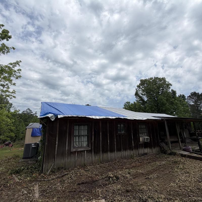 Performed a detailed roof inspection after a tree fell, identifying damage severity in Florence, MS