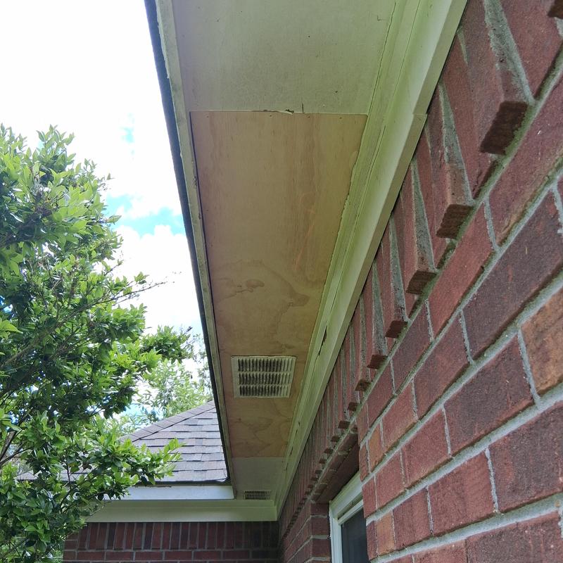 Painting Services in Brandon, MS