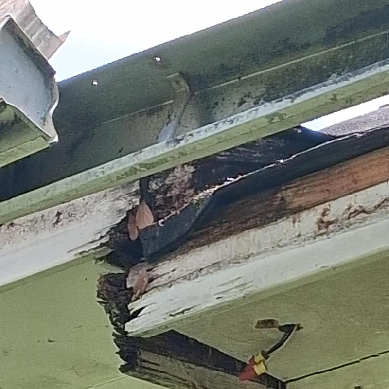 Repairs soffit and fascia as part of whole house remodels in Madison, MS