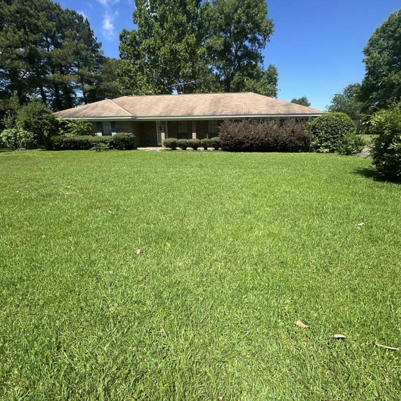Performs detailed roof inspections identifying damage, leaks, and wear in Canton, MS