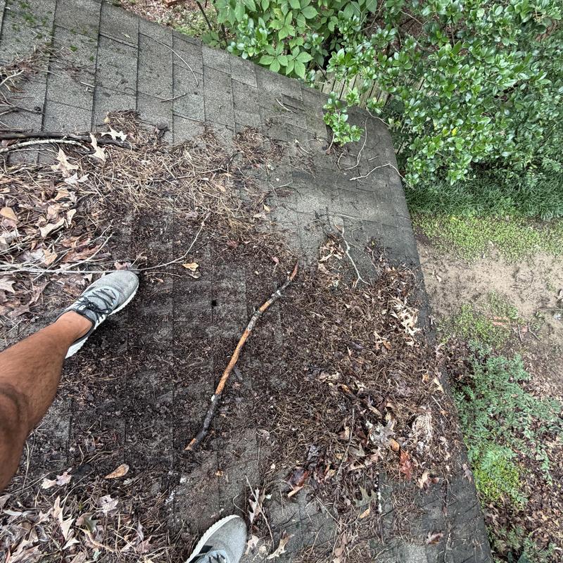 Inspected a roof for leaks in Jackson, MS